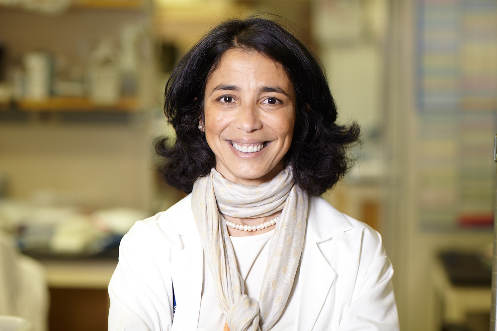 She discovered new targets for cancer therapies in the immune system